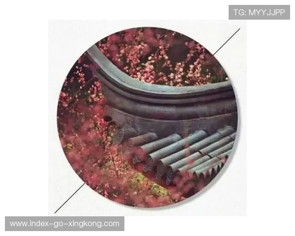 老将复出是否值得赌注?穿越荣耀还是刹那辉煌?