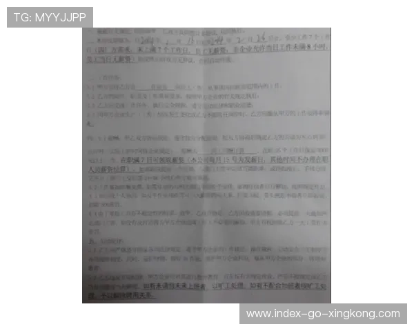 法兰克福计划重点培养一名后防中坚并延长合同